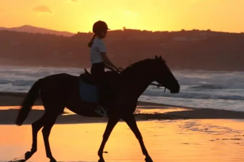 Crete: Horse Riding Tour with Lake Kournas & Lunch