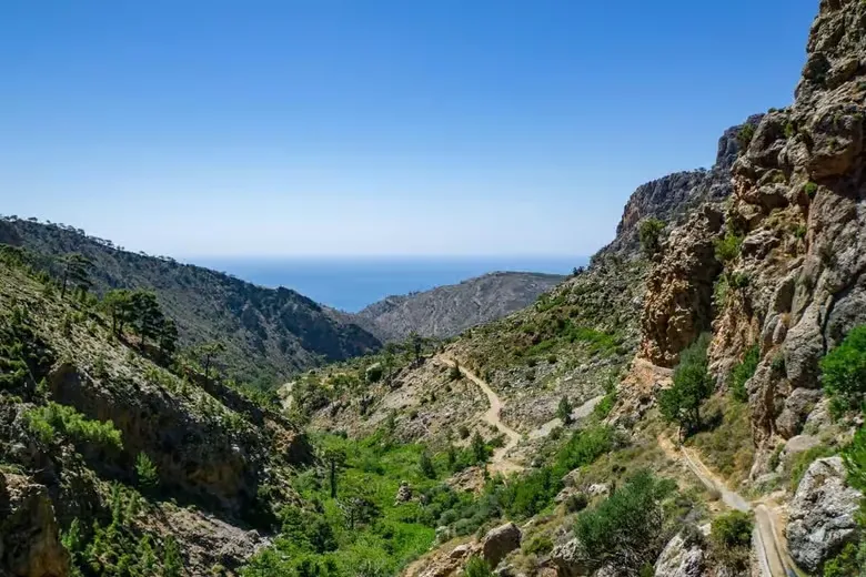Crete: Imbros Canyon Hike, Castle, Winery Tour & Lunch