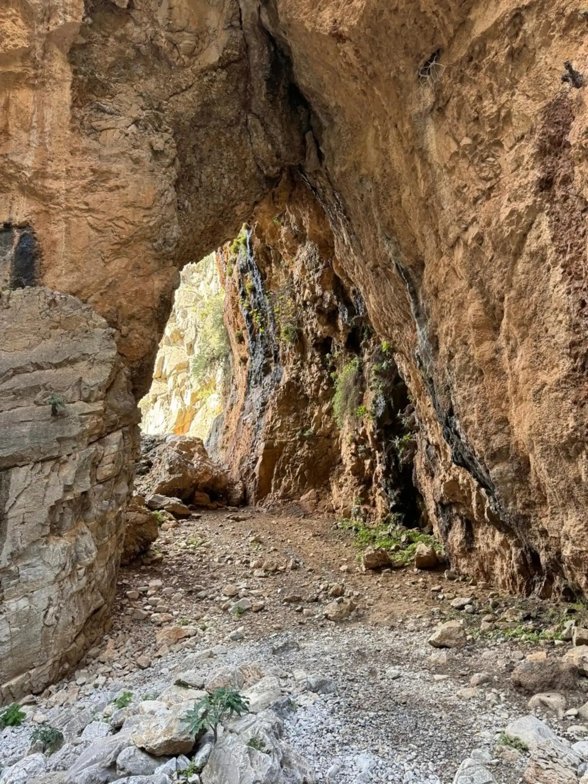Imbros Canyon Hike, Castle, Winery Tour with Transfer