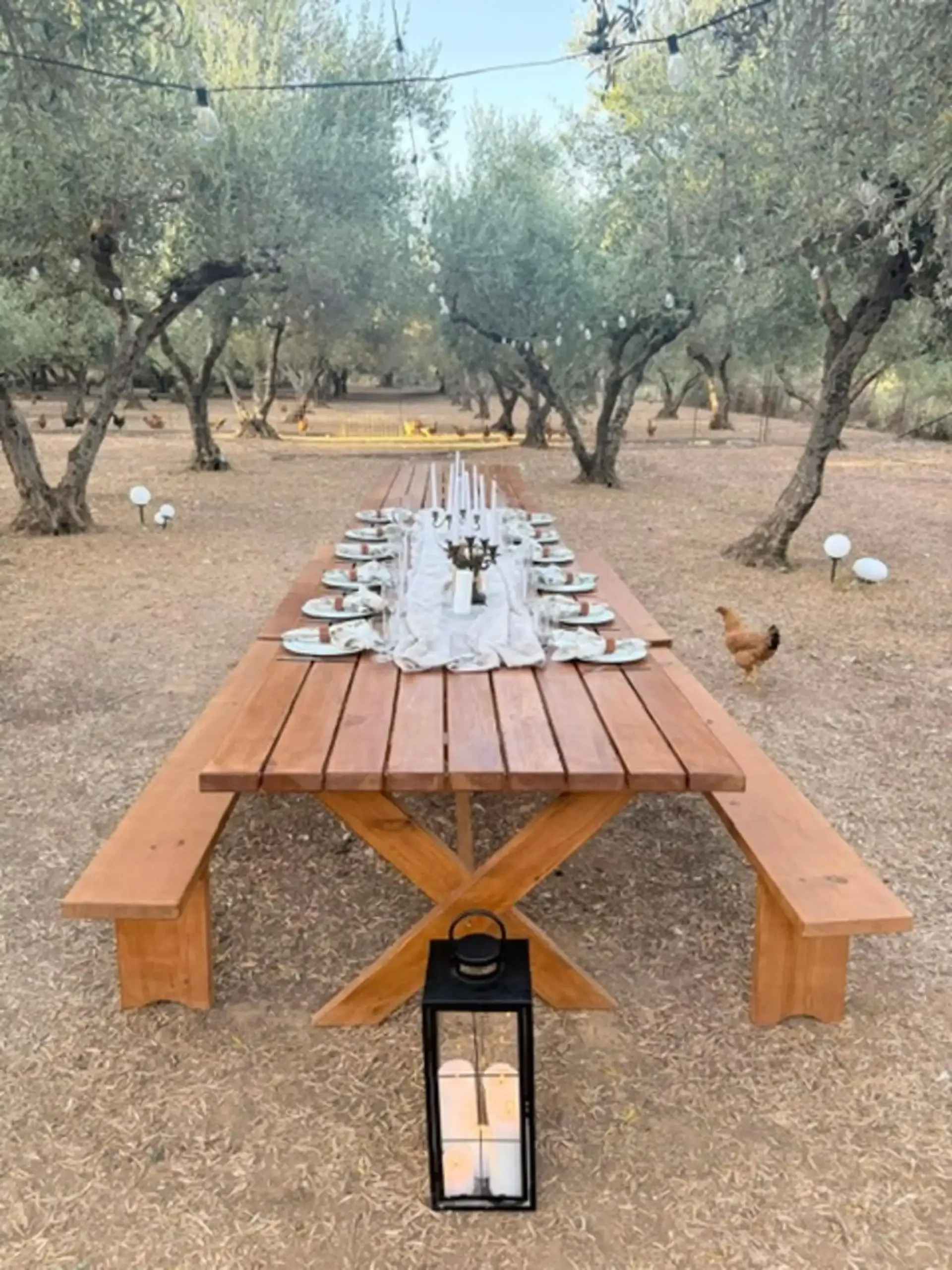 Cretan Cooking Class with Meal and Wine